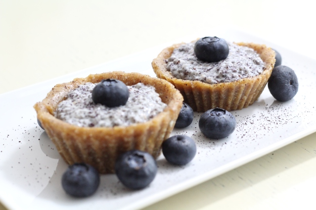 Chiapudding-Cupcakes mit Blaubeeren (roh-vegan)